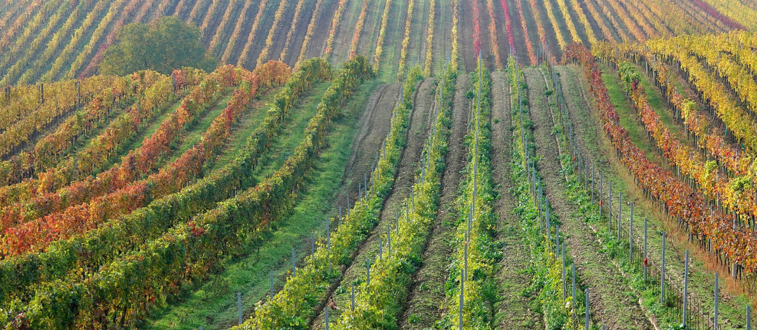 Rapport emplois et conditions de travail face aux changements climatiques