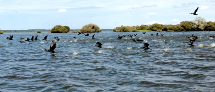 Capture d’écran 2026-01-22 à 15.53.25