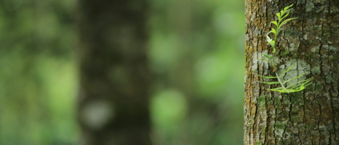 Capture d’écran 2026-01-22 à 15.54.45